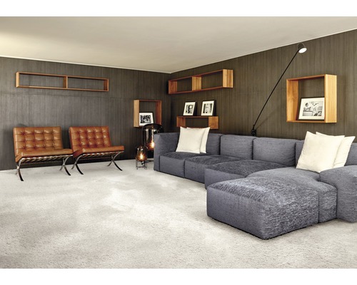 Wohnzimmer mit Sofa, Sesseln, Regalen und Teppich für ein gemütliches Ambiente