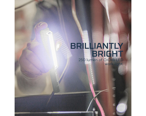 Hand hält eine helle Arbeitsleuchte mit 250 Lumen