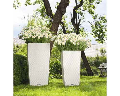 Zwei hohe Pflanzgefäße mit Blumen im Garten