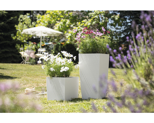 Zwei quadratische Pflanzkübel mit Pflanzen im Garten.