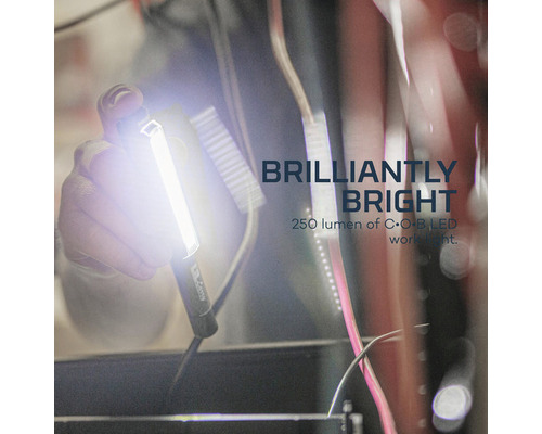 Eine Hand hält eine helle LED-Arbeitsleuchte mit 250 Lumen.