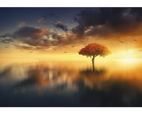 Baum im Wasser bei Sonnenuntergang mit Vogelschwarm