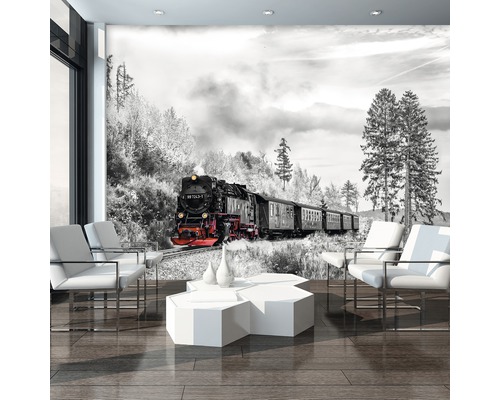 Wohnraum mit Fototapete einer Dampflokomotive