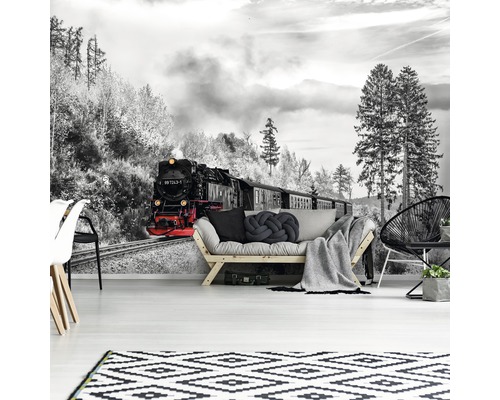 Fototapete mit Zugmotiv in einem Wohnzimmer.