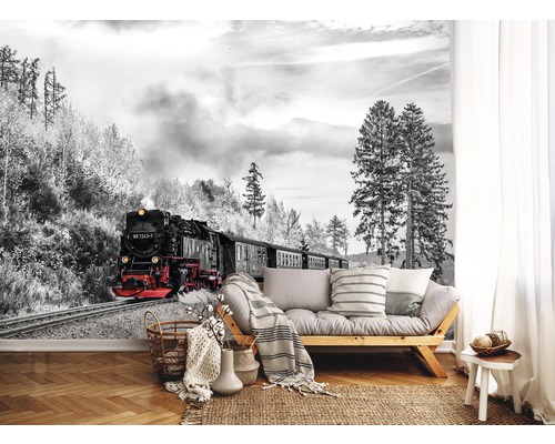 Wandbild mit Zugmotiv in einem Wohnzimmer mit Sofa und Holzboden