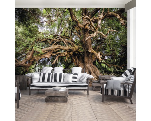 Fototapete mit einem alten Baum im Wohnzimmer
