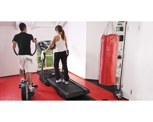 Fitnessraum mit Stepper, Laufband und Boxsack