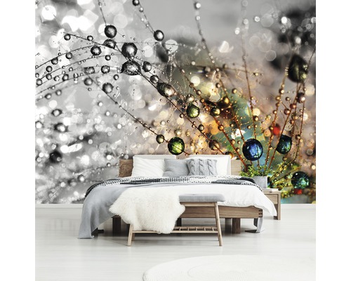 Wandbild im Schlafzimmer mit Nahaufnahme einer Pusteblume mit Wassertropfen