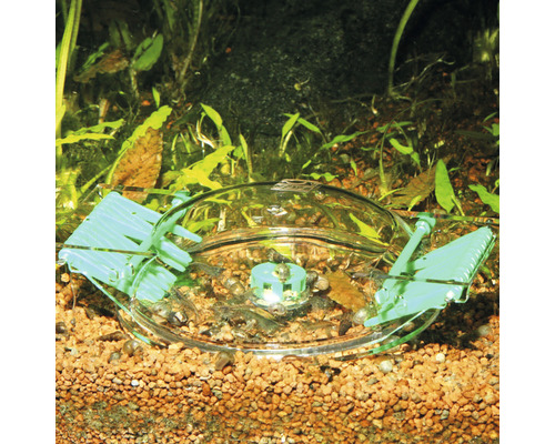 Aquarium mit Futterglocke und Garnelen