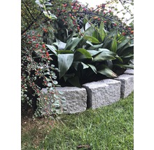 Garten mit Pflanzen und Steinbegrenzung