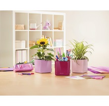 Szene mit drei eckigen Pflanzgefäßen auf einem Tisch, eines mit einer Sonnenblume, eines mit Büromaterialien und eines mit einer Grünpflanze