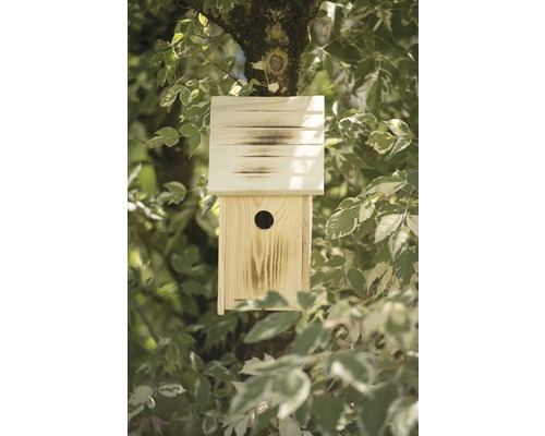 Holz Vogelhaus am Baum mit Einflugloch