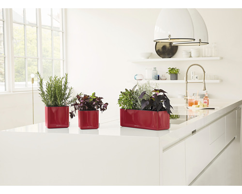Drei rote Pflanzgefäße mit verschiedenen Kräutern auf einer weißen Küchentheke.