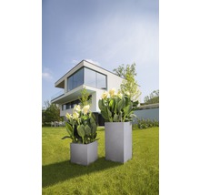 Zwei graue Pflanzkübel mit Blumen im Garten vor einem Wohnhaus