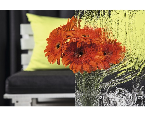 Gerbera-Blumen hinter Strukturglas