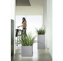 Zwei graue Pflanzgefäße mit grünen Pflanzen in einem hellen Raum