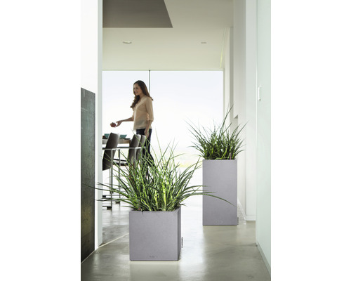 Zwei graue Pflanzgefäße mit grünen Pflanzen in einem hellen Raum