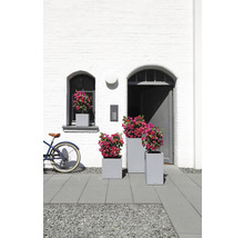 Szene mit drei grauen Pflanzkästen und Blumen vor weißer Hauswand