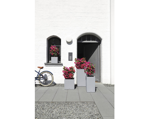 Szene mit drei grauen Pflanzkästen und Blumen vor weißer Hauswand