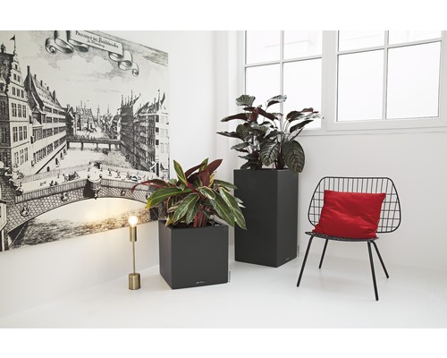 Zwei graue Pflanzgefäße mit Pflanzen in einem hellen Raum