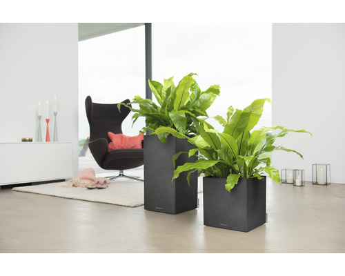 Zwei graue Pflanzgefäße mit grünen Pflanzen in einem Wohnzimmer