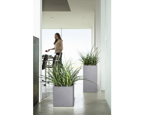 Zwei Pflanzgefäße mit Bepflanzung in einem hellen Raum