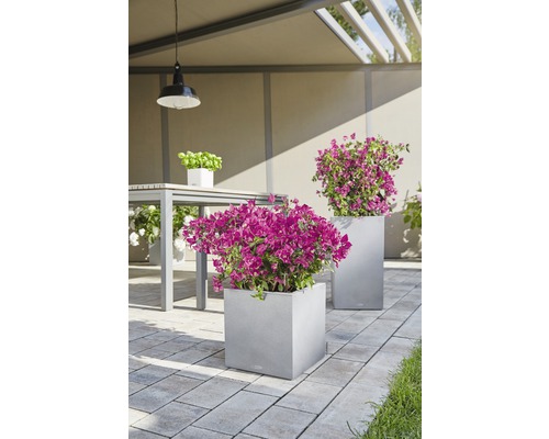 Gartenszene mit Blumenkästen und Tischgarnitur auf gepflasterter Fläche