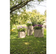 Drei bepflanzte, kubische Pflanzkübel im Garten.