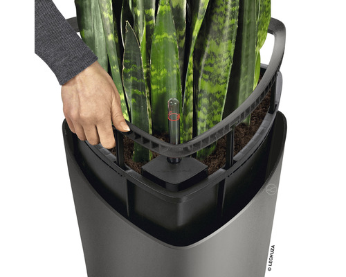 Detailaufnahme eines Lechuza Pflanzgefäßes mit Bewässerungssystem und Wasserstandsanzeiger