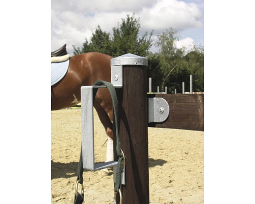 Detailaufnahme eines Holzpfostens mit Halterung und Pferdeausrüstung