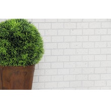Dekorative grüne Kugel in einem Topf vor einer Wand aus Ziegelsteinen