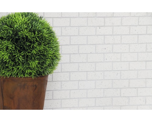 Dekorative grüne Kugel in einem Topf vor einer Wand aus Ziegelsteinen