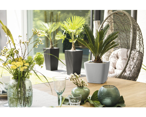 Tischdekoration mit Pflanzen in Pflanzgefäßen und Blumenvasen in einem hellen Raum.