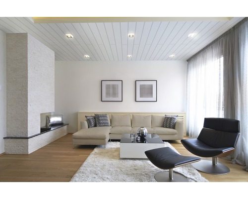 Dekorpaneel Vario Plus Ultra weiß 10x150x2600 mm Wohnzimmer mit Sofa, Sessel, Teppich und Kamin