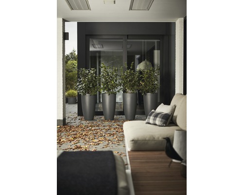 Szene einer Terrasse mit bequemen Gartenmöbeln und hohen Pflanzgefäßen.