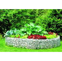 Gabionen Hochbeet mit verschiedenen Gemüsesorten im Garten