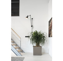 Szene eines Innenraums mit Treppe, Pflanze im Topf und Wandlampe