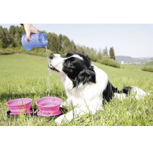 Hund liegt im Gras und wird mit Wasser aus einer Flasche getränkt, daneben stehen zwei pinke Futternäpfe
