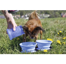 Hund trinkt aus tragbarer Wasserschale auf einer Wiese