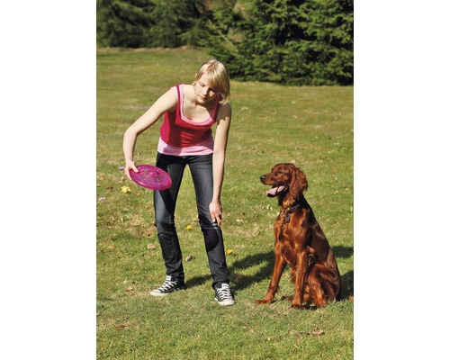 Frau spielt Frisbee mit Hund im Garten.