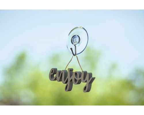 Dekorationsobjekt Enjoy mit Saugnapf zur Befestigung