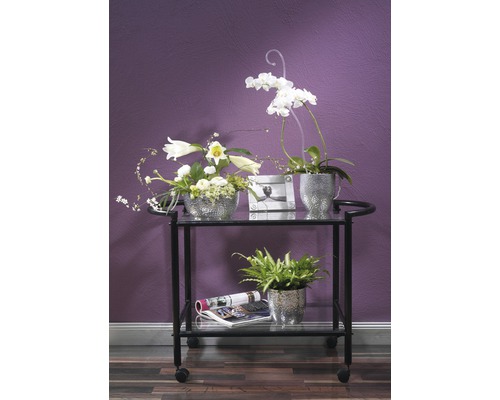 Servierwagen mit Blumenarrangements und Zimmerpflanzen auf zwei Ebenen vor einer Wand