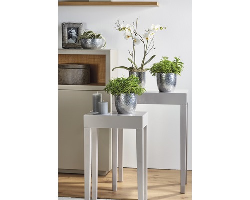 Dekorative Zimmergestaltung mit Pflanzen in Töpfen und Kerzen auf Tischen