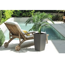 Szene mit Liegestuhl aus Holz, Swimmingpool und Pflanze im Topf