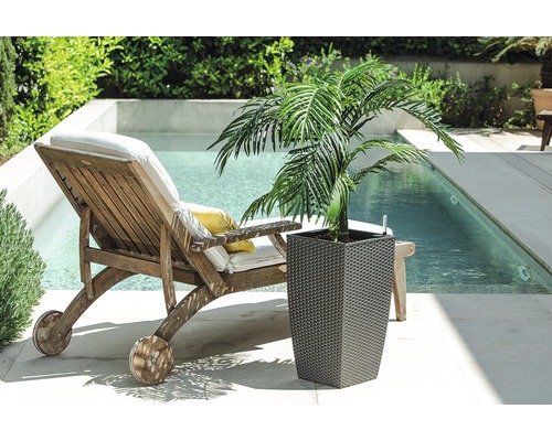 Szene mit Liegestuhl aus Holz, Swimmingpool und Pflanze im Topf