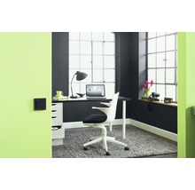 Alpina Wandfarbe Farbrezepte Dunkle Eleganz 1 l-thumb-2 Alpina Wandfarbe Farbrezepte Dunkle Eleganz 1 l-thumb-2