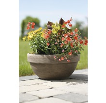 Blumen in einem Topf im Garten