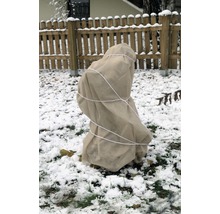 Eingepackte Pflanze mit Winterschutzvlies im Garten bei Schnee