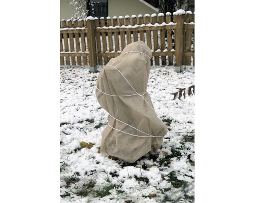 Eingepackte Pflanze mit Winterschutzvlies im Garten bei Schnee