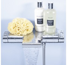 Brausearmatur mit Schwamm, Duschgel und Bodylotion